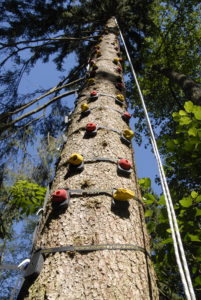 Kletterbaum Gut Schörghof