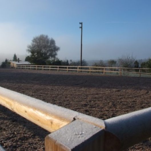 Reitplatz Gut Schörghof