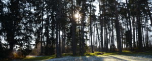Kletterwald Schörghof