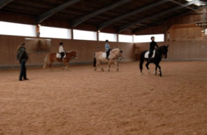 Reiten lernen und lieben auch ohne eigenes Pferd.