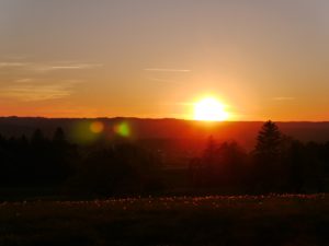 Galoppwiese im Sonnenuntergang