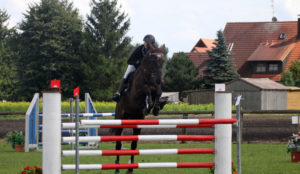 Springbild Caspar