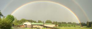 Hit-Aktivstall unter dem REGENBOGEN
