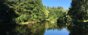 Weiher Gut Schörghof