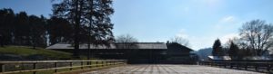 Reitplatz Schörghof