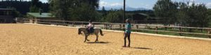 Reitplatz Gut Schörghof