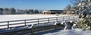 Winter Wonderland Gut Schörghof