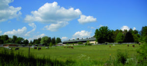 Gut Schörghof