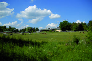 Gut Schörghof