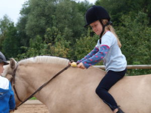 Reiterspiele Kindergeburtstag